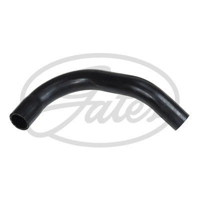 Radiator Hose (3206)