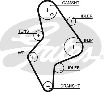 Timing Belt (5658XS)