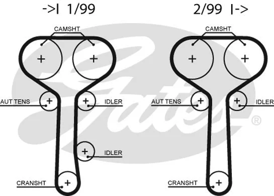Timing Belt (5508XS)