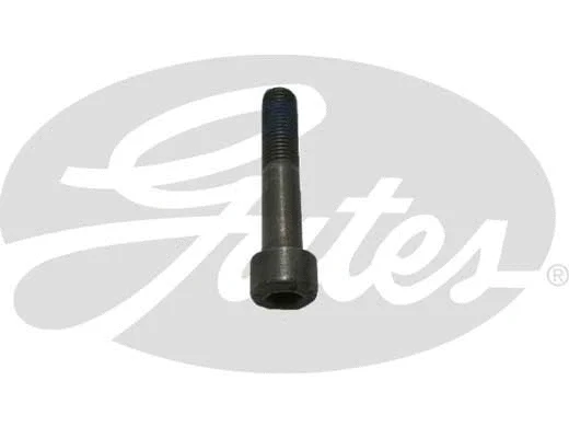 Bolt (Z80520)