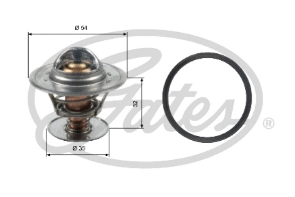 Thermostat, coolant (TH13684G1)