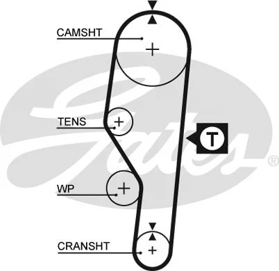 Timing Belt (5063)