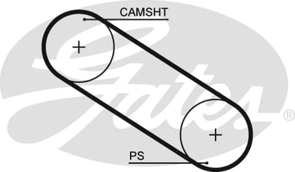 Timing Belt (5026)