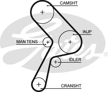 Timing Belt (5322)