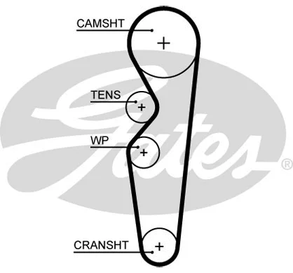 Timing Belt (5665XS)