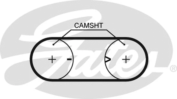 Timing Belt Kit