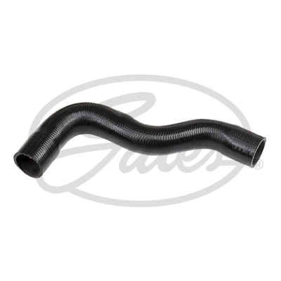 Radiator Hose (3611)