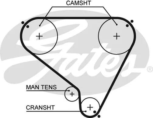 Timing Belt (5146)