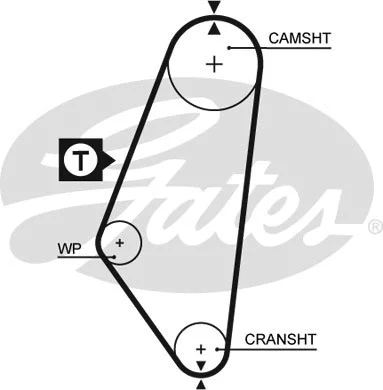 Timing Belt (5047)