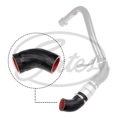 Charge Air Hose (09-1319)