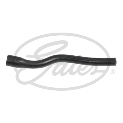 Radiator Hose (3211)
