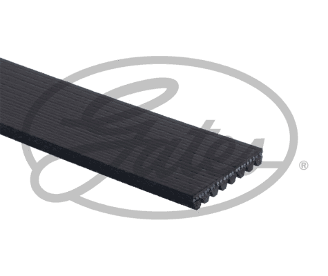 V-Ribbed Belt
