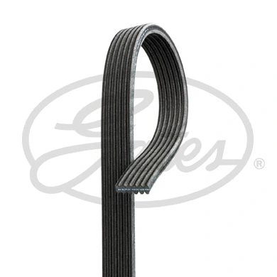V-Ribbed Belt (6DPK1195)