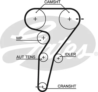 Timing Belt (5429XS)