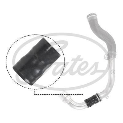 Charge Air Hose (09-1298)