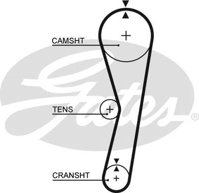 Timing Belt (5127)
