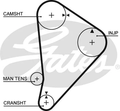 Timing Belt (5044)