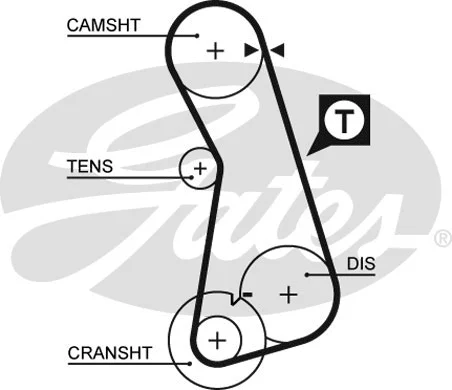 Timing Belt (5308XS)