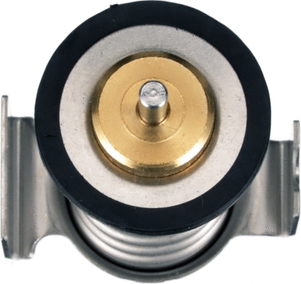 Thermostat, coolant