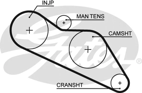 Timing Belt (5114)