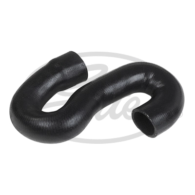 Radiator Hose (3764)