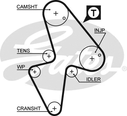 Timing Belt (5418XS)