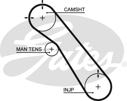 Timing Belt (5548XS)
