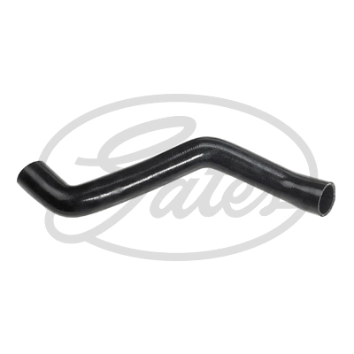 Radiator Hose (3834)