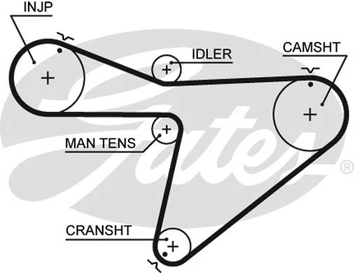 Timing Belt (5315XS)