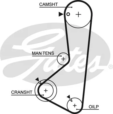 Timing Belt (5254XS)