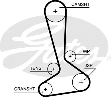Timing Belt (5645XS)