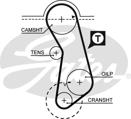 Timing Belt Kit (K015016)