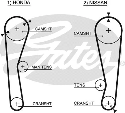 Timing Belt (5028)