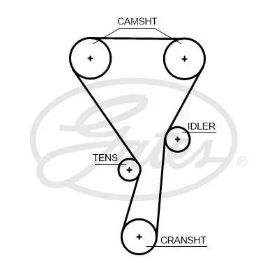 Timing Belt (5699XS)