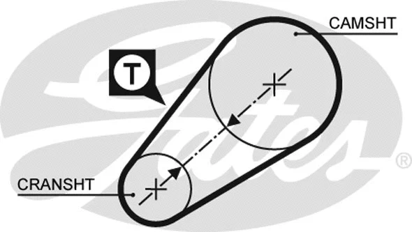Timing Belt (5014)