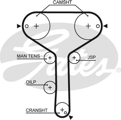Timing Belt (5259XS)