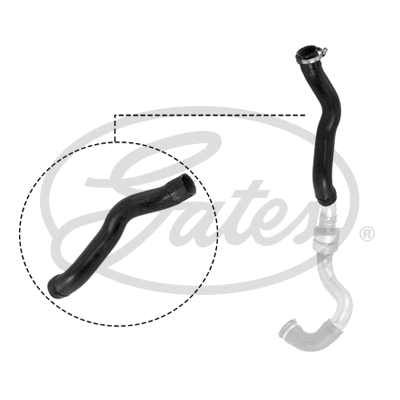 Charge Air Hose (09-0808)