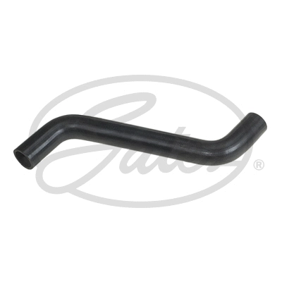 Radiator Hose (3683)