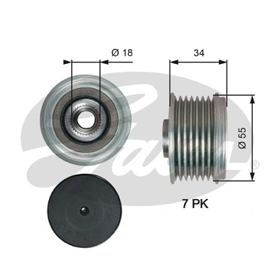 Alternator Freewheel Clutch (OAP7213)