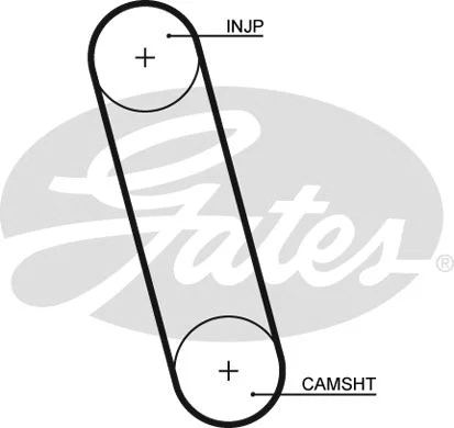 Timing Belt (5100)