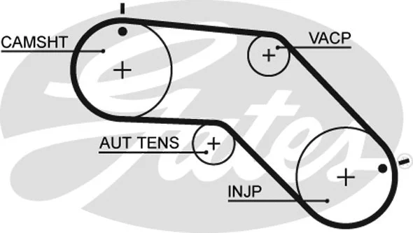 Timing Belt (5504XS)