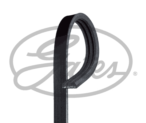 V-Ribbed Belt (3PK576SF)