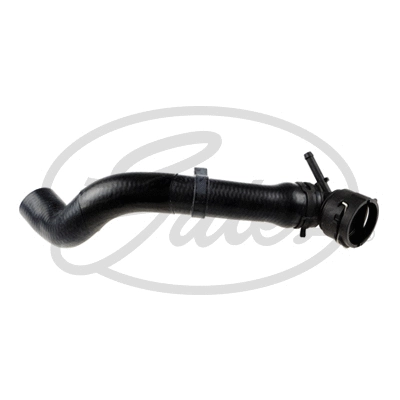 Radiator Hose (3969)