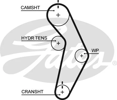 Timing Belt (T245)
