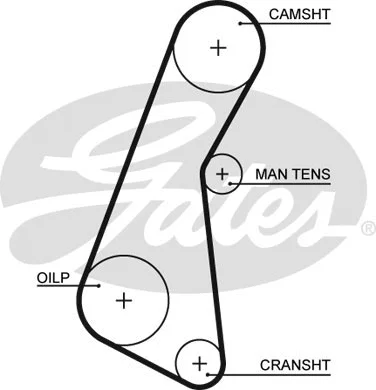 Timing Belt (5121)