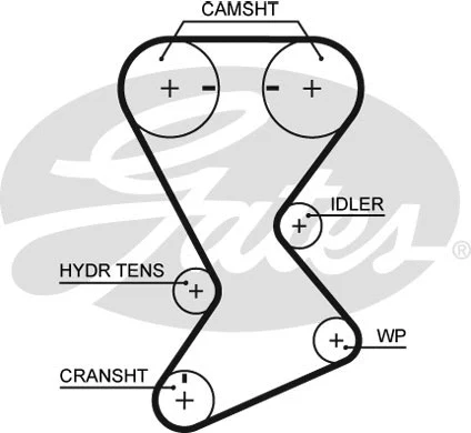 Timing Belt Kit
