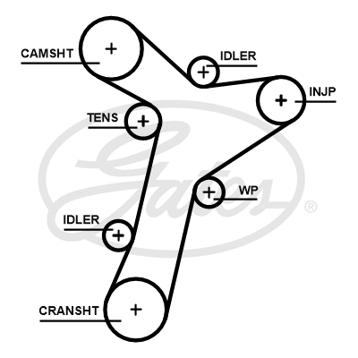 Timing Belt (5695XS)
