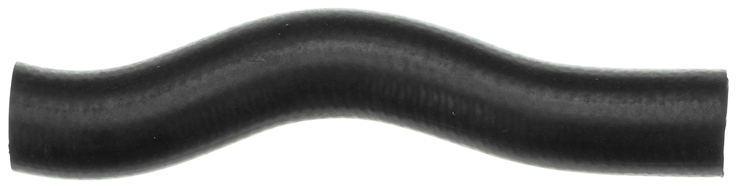 Radiator Hose (3753)