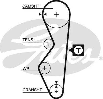 Timing Belt (5124)