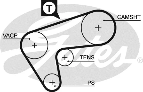 Timing Belt (5513XS)